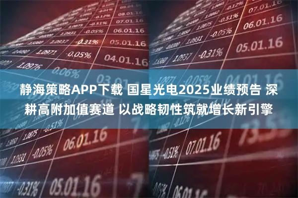 静海策略APP下载 国星光电2025业绩预告 深耕高附加值赛道 以战略韧性筑就增长新引擎